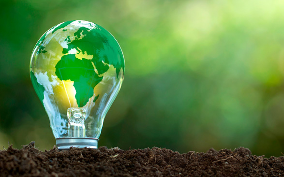 Energia Vede Energia Vede